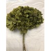 HYDRANGEA PRESERVED 6" HEAD (1-3 Stems) Basil-